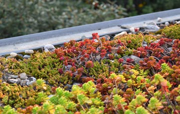 the cost of Silpho green roof installation